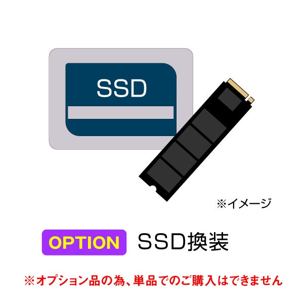 Web Option SSD換装 512GB